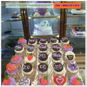 Bánh Sinh Nhật Cupcake - CUP24